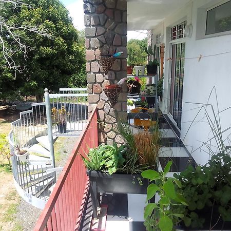 Chambre Avec Cuisine Et Sdb Semi-Privatives Separees Dans Un Ecrin De Verdure Les Abymes Buitenkant foto