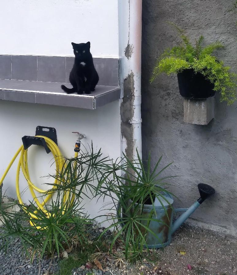 Chambre Avec Cuisine Et Sdb Semi-Privatives Separees Dans Un Ecrin De Verdure Les Abymes Buitenkant foto