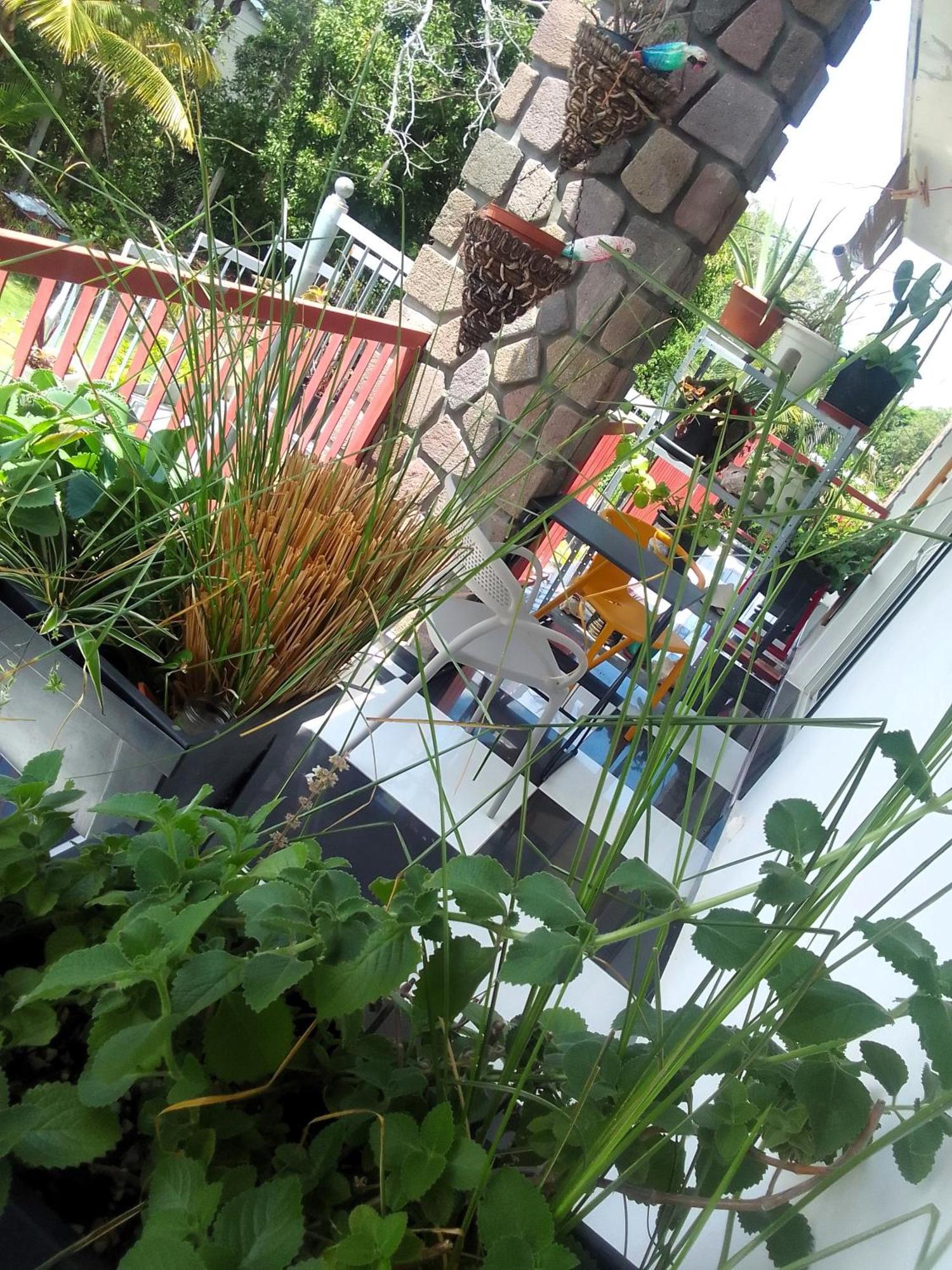 Chambre Avec Cuisine Et Sdb Semi-Privatives Separees Dans Un Ecrin De Verdure Les Abymes Buitenkant foto